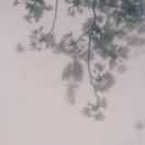 朱建华宁波伟大联盟国际货运代理有限公司业务员1